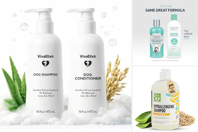 Detailed view of Best Oatmeal Aloe Hydrating Formula