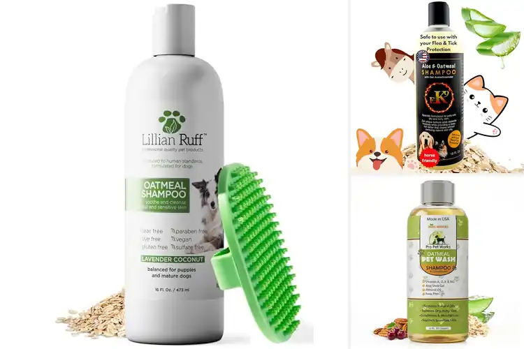 Detailed view of Best Oatmeal Aloe Shampoo For Itchy Skin