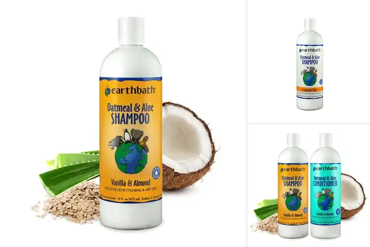 Detailed view of Best Oatmeal Aloe Shampoos