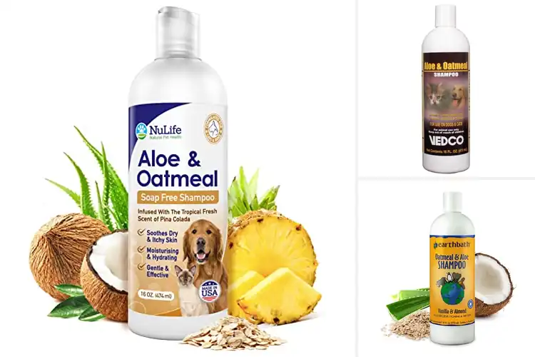 Detailed view of Best Oatmeal Aloe Vera Shampoos for Soothing Itchy Pets