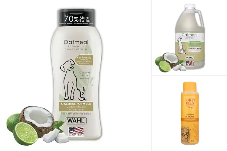 Detailed view of Best Oatmeal Shampoos For Dogs: Soothe Dry, Itchy Skin Fast