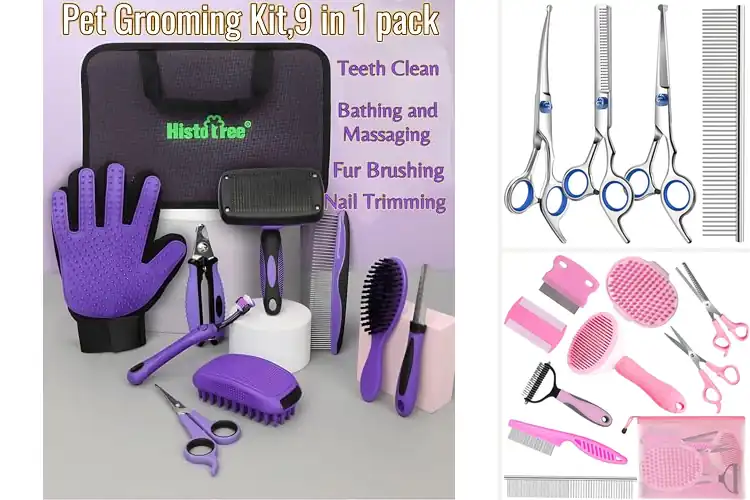 Detailed view of Best Pet Grooming Bundles