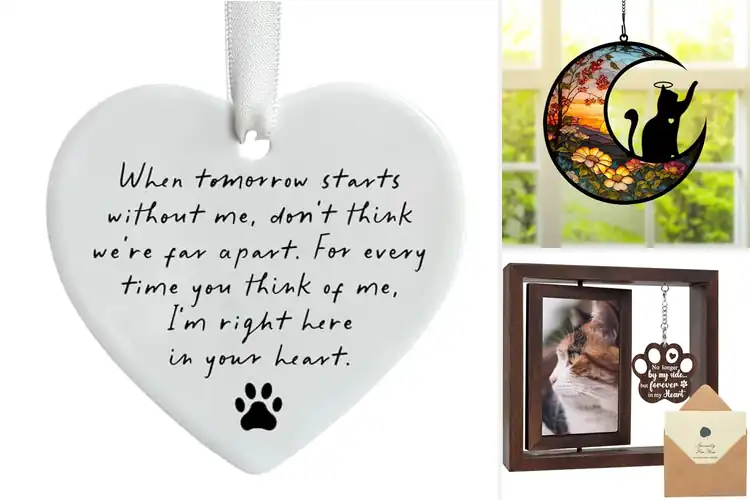 Detailed view of Best Pet Loss Support Gift For Cat Owners