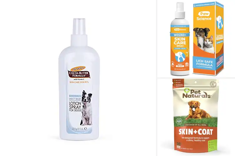 Detailed view of Best Pet Skin Care Routines: Healthy Skin for Happy Pets