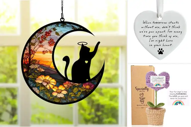 Detailed view of Best Pet Sympathy Gift For Cat Loss