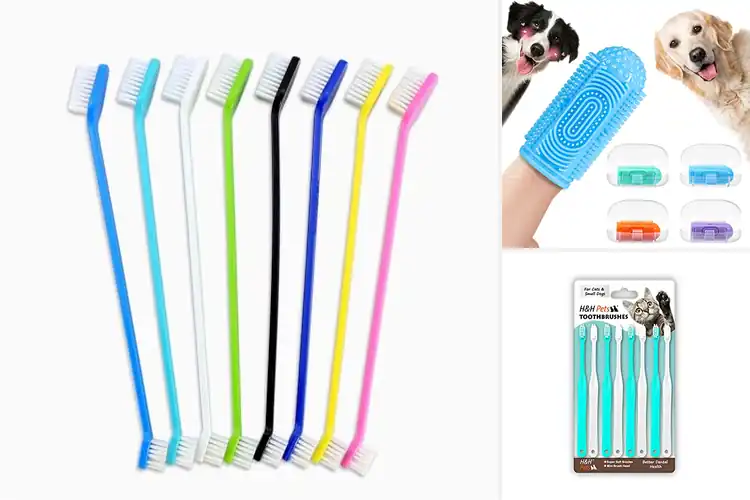 Detailed view of Best Pet Toothbrushes: Top 10 Picks for a Healthy Smile