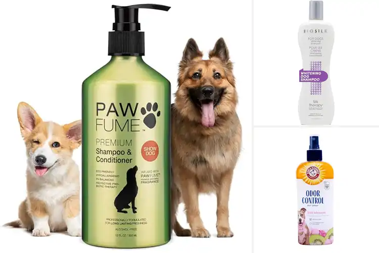 Detailed view of Best pH Balanced Dog Care