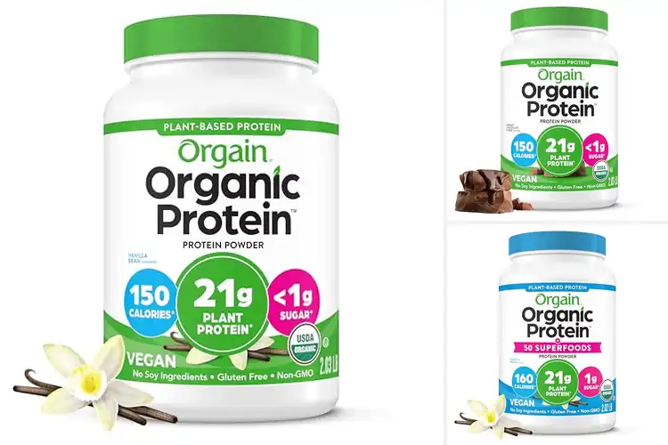 Detailed view of Best Plant-Based Protein Powders