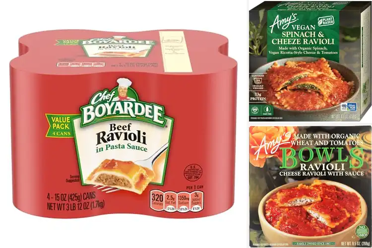 Detailed view of Best Ravioli Meals: 10 Easy & Delicious Recipes for Everyone