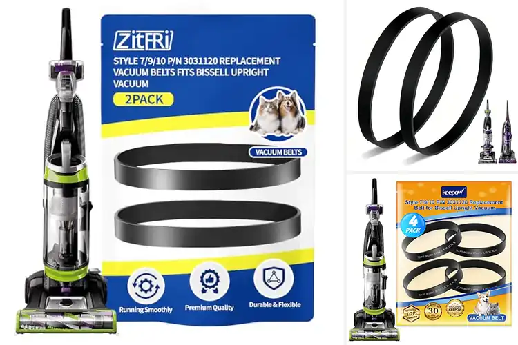 Detailed view of Best Replacement Belts For Bissell