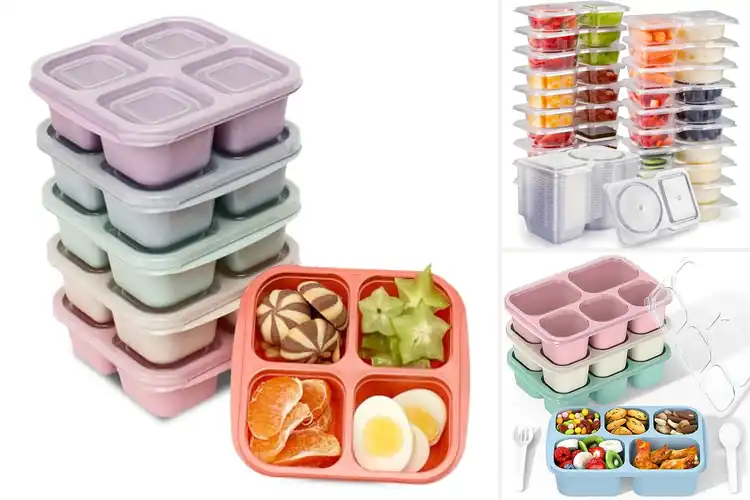 Detailed view of Best Reusable Snack Boxes
