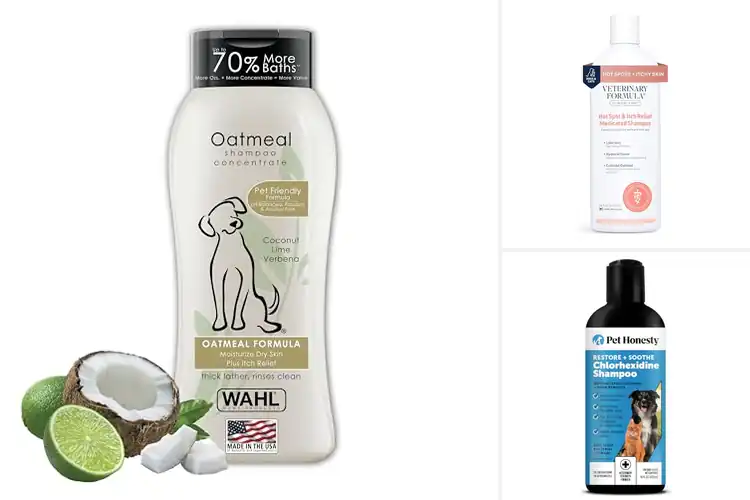 Detailed view of Best Shampoo For Itchy Dogs