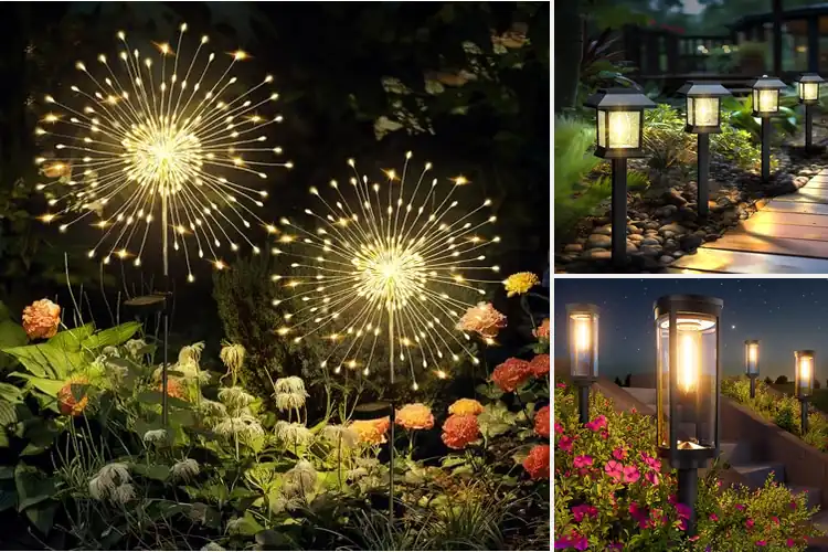 Detailed view of Best Solar Powered Garden Lights