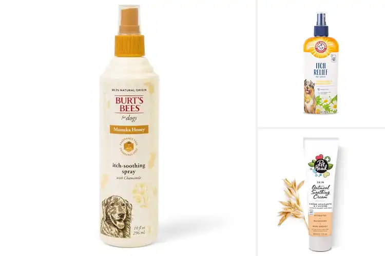 Detailed view of Best Soothing Pet Products
