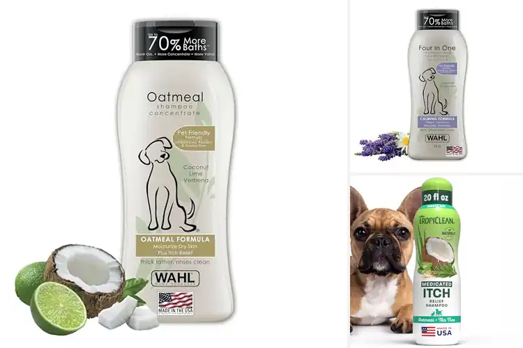 Detailed view of Best Soothing Pet Shampoos: Gentle Care for Calm, Soft Coats
