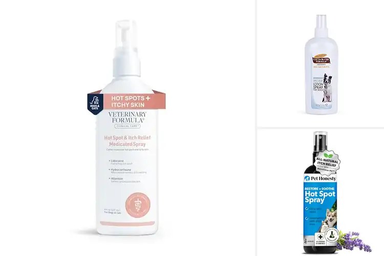 Detailed view of Best Soothing Spray For Dog Skin: Top 10 Relief Solutions