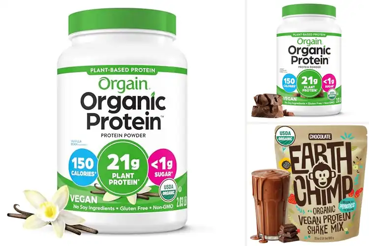 Detailed view of Best Vegan Protein Powders: Top Picks for Clean Strength