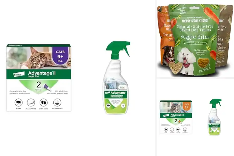 Detailed view of Best Vet Recommended Bundle: Expert Picks for Pet Wellness