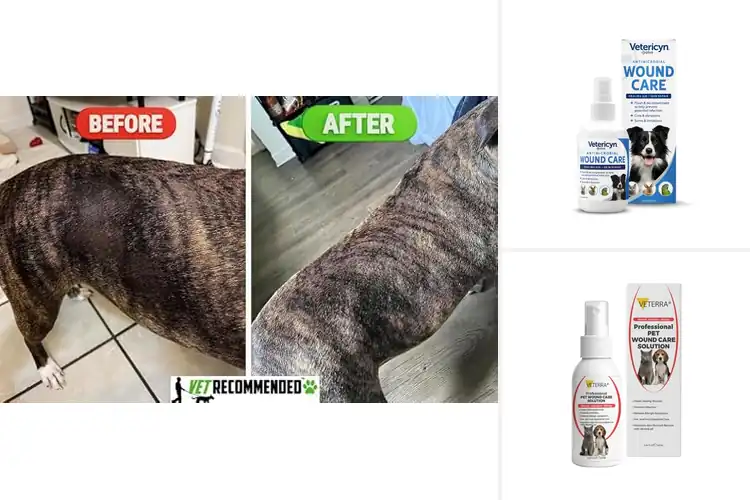 Detailed view of Best Vet Recommended Dog Skin Care