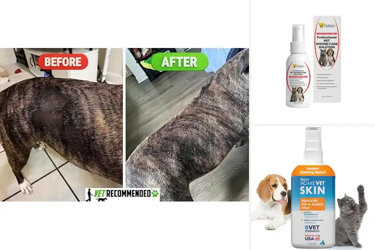 Detailed view of Best Vet Recommended Dog Skin Care Routine