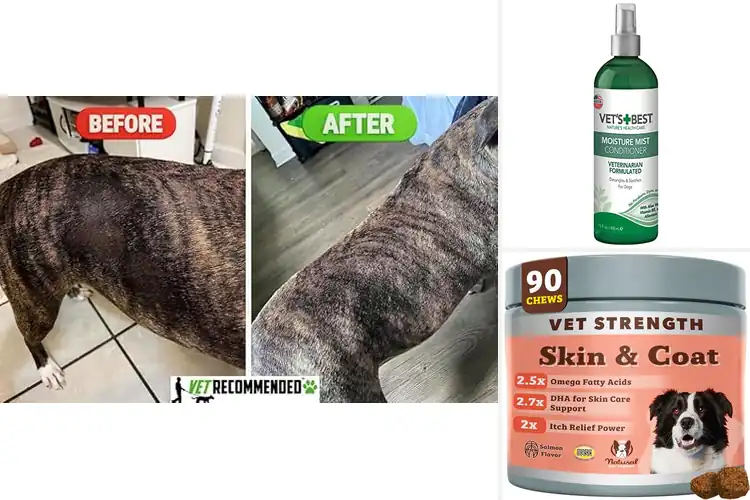 Detailed view of Best Vet Recommended Dog Skincare: Top 10 Healing Solutions