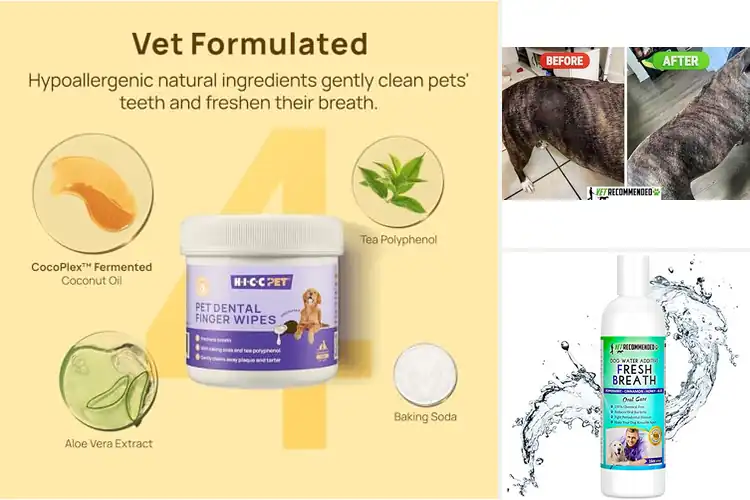 Detailed view of Best Vet-Recommended Pet Products