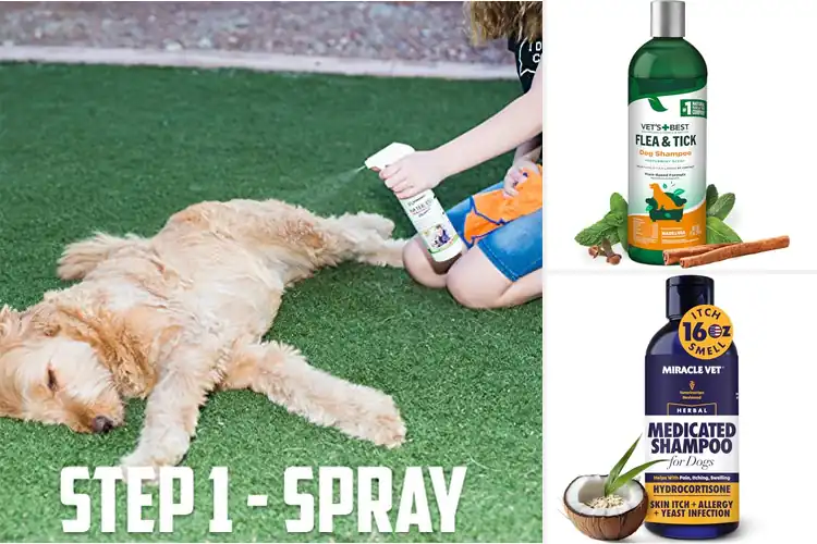 Detailed view of Best Vet-Recommended Pet Shampoos