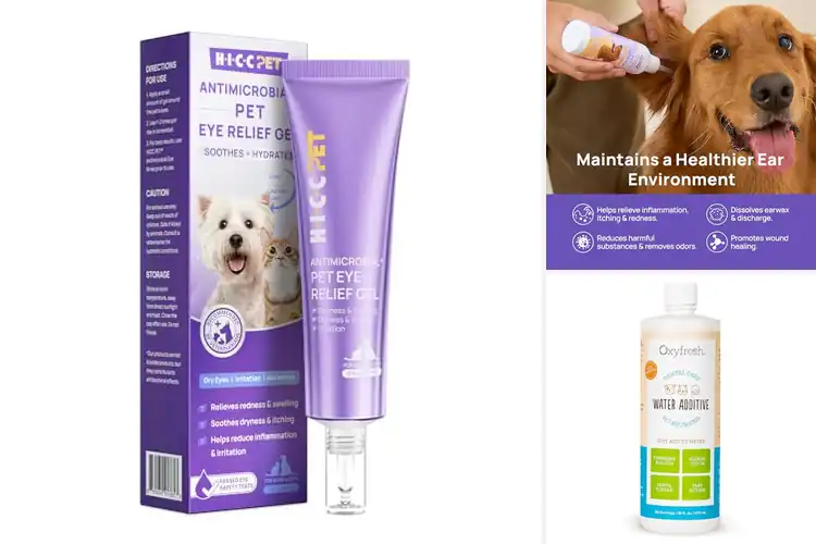 Detailed view of Best Vet-Recommended Solutions