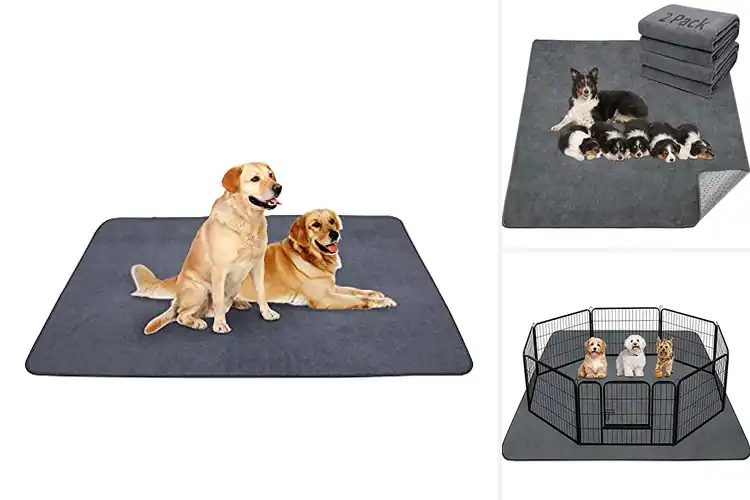 Detailed view of Best Waterproof Pet Mats for Clean, Dry Pet Spaces